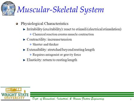 Dept. of Biomedical, Industrial, & Human Factors Engineering 1 Muscular-Skeletal System Physiological Characteristics Irritability (excitability): react.