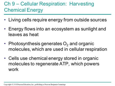 Ch 9 – Cellular Respiration: Harvesting Chemical Energy