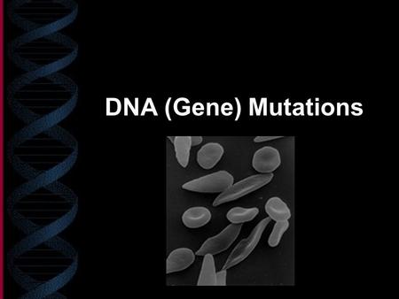 DNA (Gene) Mutations. What is a gene mutation? Parts of DNA will have a base (or more) missing, added, or incorrect A mistake in the genetic code Wrong.