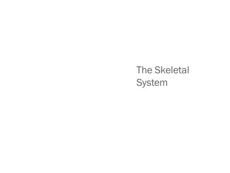 The Skeletal System.