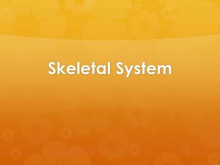 Skeletal System. Function  Provide support and protection  Maintains Posture  Create red blood cells.