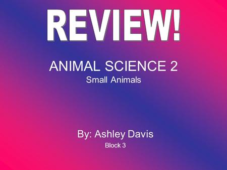 ANIMAL SCIENCE 2 Small Animals By: Ashley Davis Block 3.
