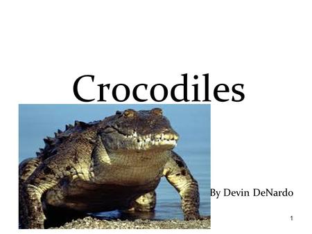 1 By Devin DeNardo Crocodiles 2 This story is dedicated to: My Pepa because he loves crocodiles.