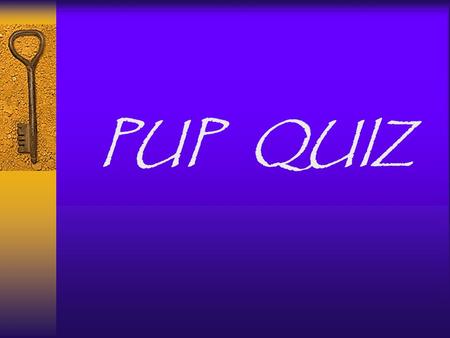 PUP QUIZ. 1.FAME 2. X FILES 3. POPEYE 4. BENNY HILL 5. ALLY McBEAL 6. PERRY MASON TELEVISION CULTURE.