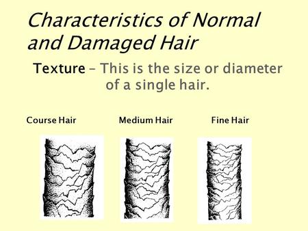 Characteristics of Normal and Damaged Hair