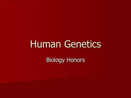 Human Genetics Biology Honors.