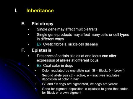I. I.Inheritance E. E.Pleiotropy Single gene may affect multiple traits Single gene products may affect many cells or cell types in different ways Ex: