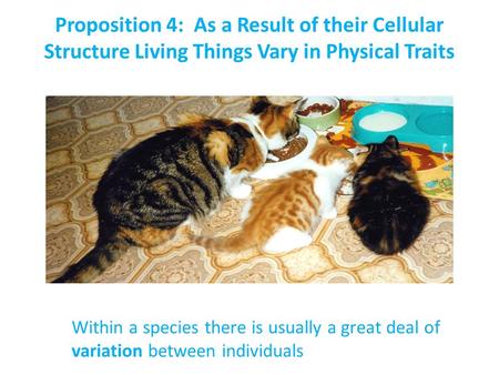 Within a species there is usually a great deal of variation between individuals Proposition 4: As a Result of their Cellular Structure Living Things Vary.