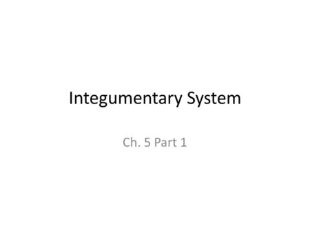 Integumentary System Ch. 5 Part 1. Integumentary System Anatomy Epidermal layer Dermal layer Physiology Regulate body temperature Protects connective.