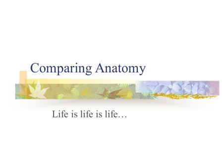 Comparing Anatomy Life is life is life… Living things share common needs for food, cellular waste disposal, exchange of gasses, and means of reproduction.