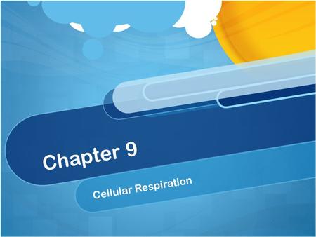Chapter 9 Cellular Respiration. I CAN’S/ YOU MUST KNOW The difference between fermentation & cellular respiration The role of glycolysis in oxidizing.