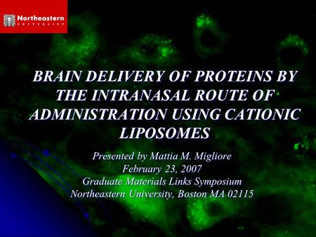 BRAIN DELIVERY OF PROTEINS BY THE INTRANASAL ROUTE OF ADMINISTRATION USING CATIONIC LIPOSOMES Presented by Mattia M. Migliore February 23, 2007 Graduate.
