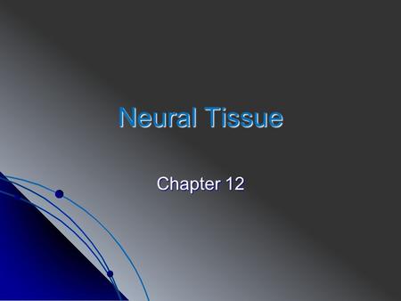Neural Tissue Chapter 12. I. Overview of the Nervous System A. Provides swift, but brief responses to stimuli B. Consists of: 1. Neural tissue: a. Neurons-