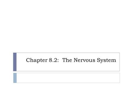 Chapter 8.2: The Nervous System. Neuroglia  Astrocytes  Largest and most numerous  Maintain blood-brain barrier  Isolates CNS from circulation  Capillaries.