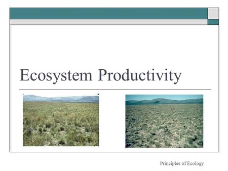 Ecosystem Productivity Principles of Ecology. Primary productivity  The rate at which producers capture & store energy in their tissues  Gross = total.