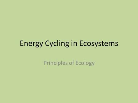 Energy Cycling in Ecosystems Principles of Ecology.
