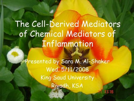 The Cell-Derived Mediators of Chemical Mediators of Inflammation Presented by Sara M. Al-Shaker Wed. 5/11/2008 King Saud University Riyadh, KSA.