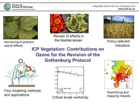 Integrated science for our changing world www.ceh.ac.uk ICP Vegetation: Contributions on Ozone for the Revision of the Gothenburg Protocol Monitoring of.