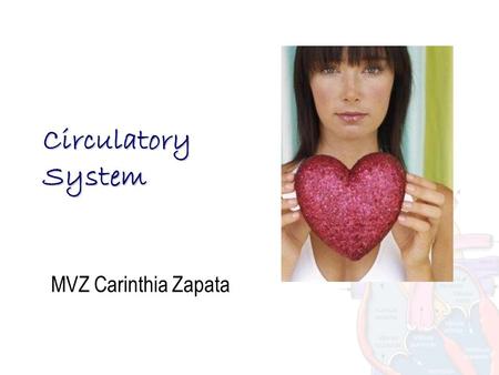 Circulatory System MVZ Carinthia Zapata. Components Blood and its different structures Heart Blood vessels.