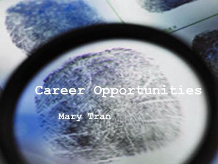Career Opportunities Mary Tran. Why a career search is important… To provide a stable income To give yourself fulfillment in life To broaden your education.
