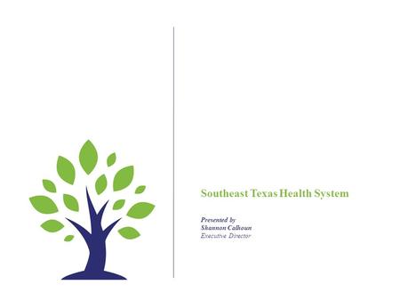 Southeast Texas Health System Presented by Shannon Calhoun Executive Director.