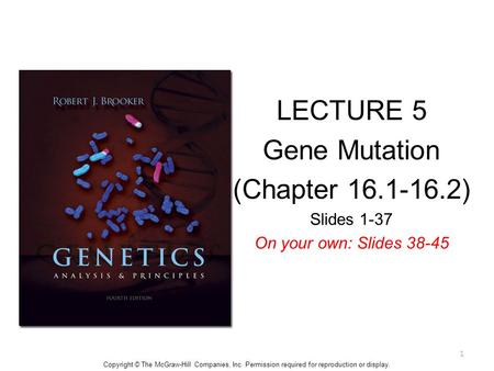 Copyright © The McGraw-Hill Companies, Inc. Permission required for reproduction or display. LECTURE 5 Gene Mutation (Chapter 16.1-16.2) Slides 1-37 On.