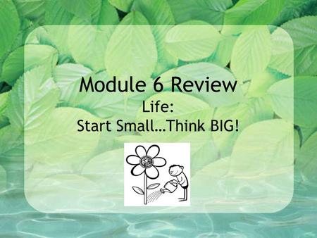 Module 6 Review Life: Start Small…Think BIG!