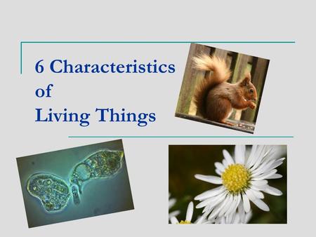 6 Characteristics of Living Things. 1. Living Things Have 1 or More Cells. Every organism is made up of one or more cells one-celled organisms are called.