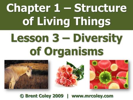 Chapter 1 – Structure of Living Things Lesson 3 – Diversity of Organisms © Brent Coley 2009 | www.mrcoley.com.
