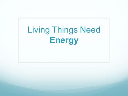 Living Things Need Energy. Producers What do producers do?? How??