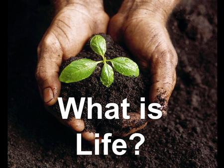 What is Life?. All living things share 6 important characteristics: 1.Cellular Organization: Cells: The basic unit of structure and function in an organism.