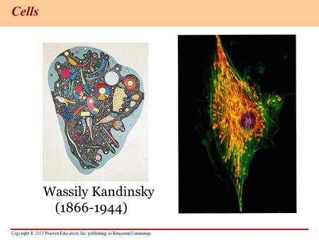 Copyright © 2003 Pearson Education, Inc. publishing as Benjamin Cummings Wassily Kandinsky (1866-1944) Cells.