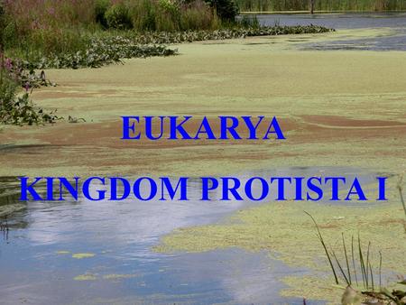 EUKARYA KINGDOM PROTISTA I. Origin of Eukaryote: The Endosymbiotic Theory (1960) Pages 229, 307.