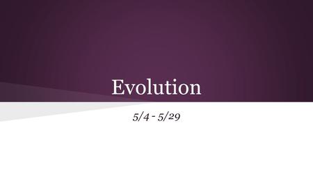 Evolution 5/4 - 5/29. Monday 5/4 Learning Targets: 1) I can describe what science considers to be evidence for evolution. Warm Up: 1) What do you know.