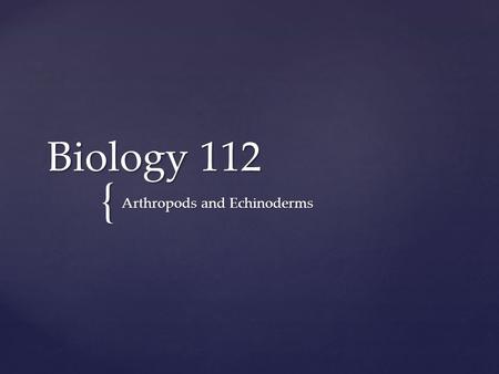 { Biology 112 Arthropods and Echinoderms.  Includes animals such as crabs, spiders, and insects  Segmented bodies, a tough exoskeleton (external body.