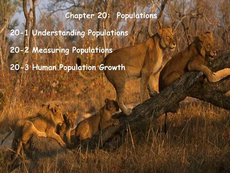 Chapter 20:  Populations 20-1 Understanding Populations