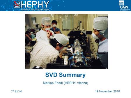 7 th B2GM SVD Summary 19 November 2010 Markus Friedl (HEPHY Vienna)