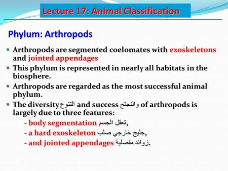 Phylum: Arthropods Arthropods are segmented coelomates with exoskeletons and jointed appendages Arthropods are segmented coelomates with exoskeletons and.