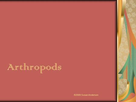 Arthropods ©2009 Susan Anderson. Characteristics of Arthropods Invertebrates Lack a backbone Exoskeleton Skeleton on the outside of the body Made of “chitin”