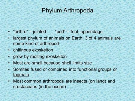 Phylum Arthropoda “arthro” = jointed “pod” = foot, appendage