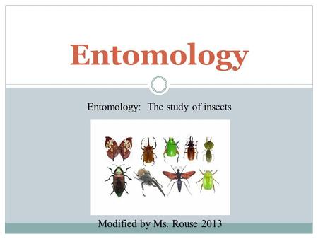 Entomology: The study of insects