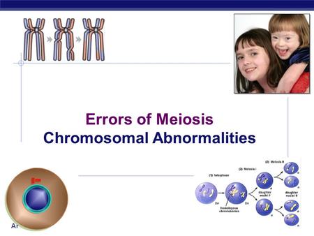 AP Biology 2006-2007 Errors of Meiosis Chromosomal Abnormalities.