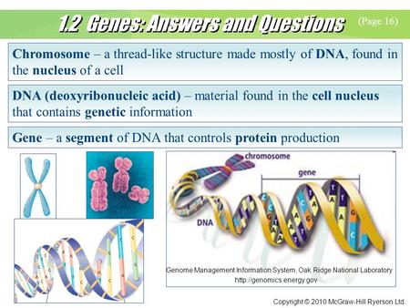 1.2 Genes: Answers and Questions
