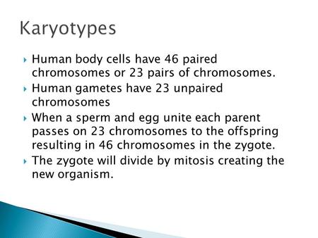 Human body cells have 46 paired chromosomes or 23 pairs of chromosomes.  Human gametes have 23 unpaired chromosomes  When a sperm and egg unite each.