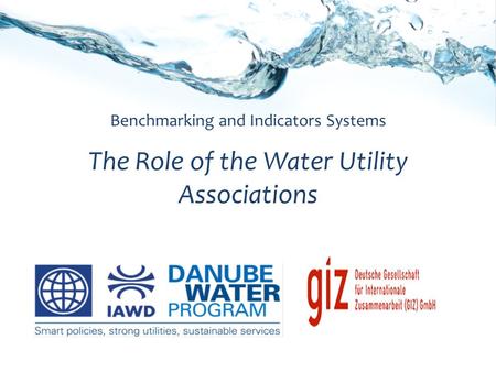 Benchmarking and Indicators Systems The Role of the Water Utility Associations.