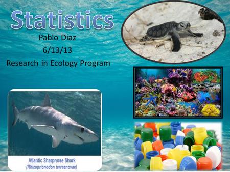 Pablo Diaz 6/13/13 Research in Ecology Program.