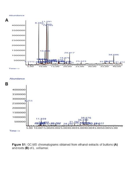 A B Figure S1: GC-MS chromatograms obtained from ethanol extracts of buttons (A) and roots (B) of L. williamsii.