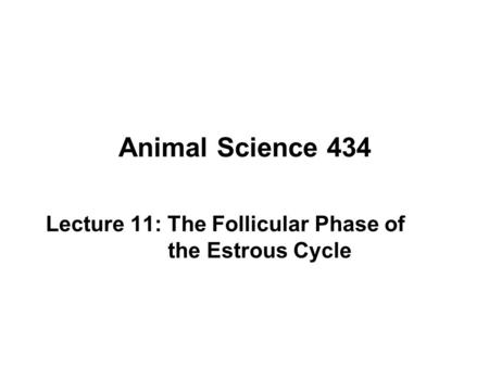 Lecture 11: The Follicular Phase of the Estrous Cycle