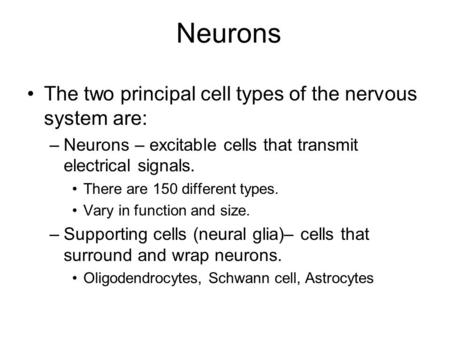 Neurons The two principal cell types of the nervous system are: