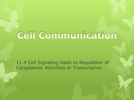 11.4 Cell Signaling leads to Regulation of Cytoplasmic Activities or Transcription.